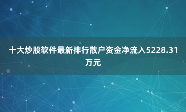 十大炒股软件最新排行散户资金净流入5228.31万元