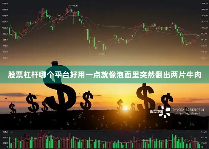 股票杠杆哪个平台好用一点就像泡面里突然翻出两片牛肉